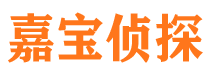 鹿寨侦探公司